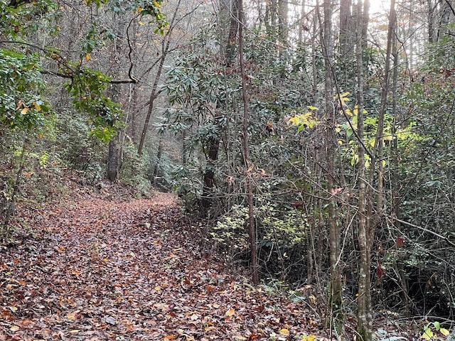 00 Whitecliff Dr, Ellijay, GA 30540