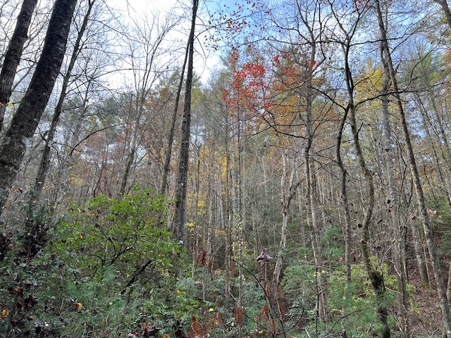 00 Whitecliff Dr, Ellijay, GA 30540