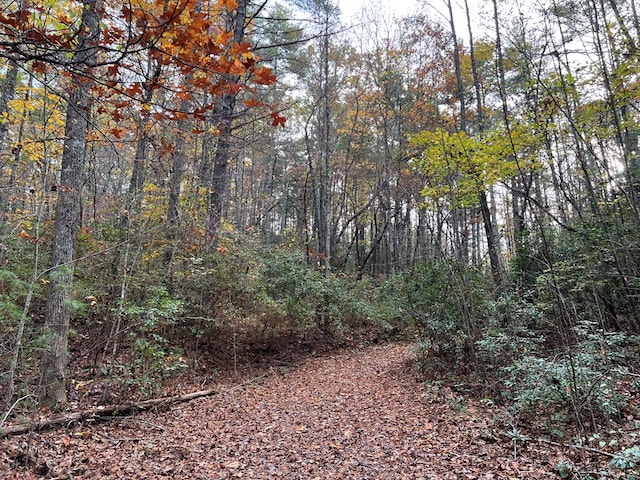 00 Whitecliff Dr, Ellijay, GA 30540