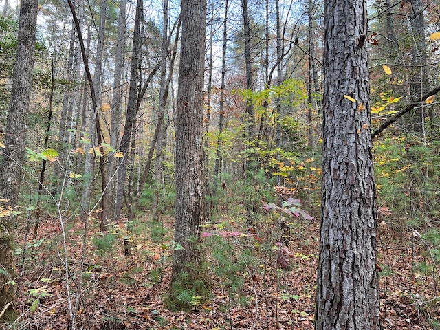 00 Whitecliff Dr, Ellijay, GA 30540