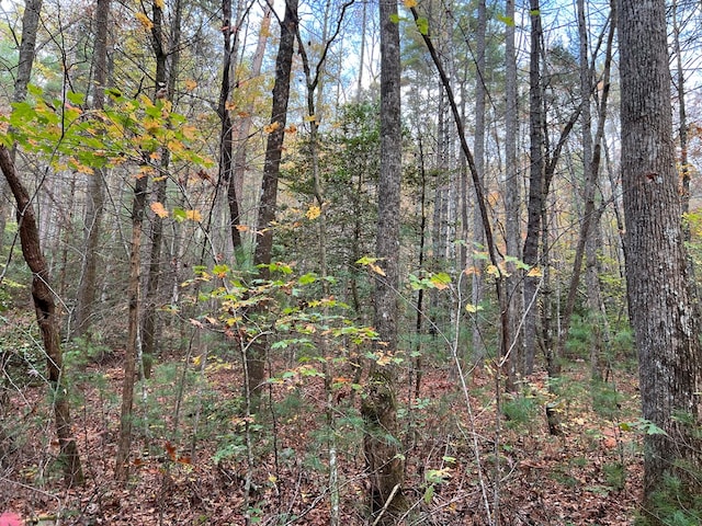 00 Whitecliff Dr, Ellijay, GA 30540