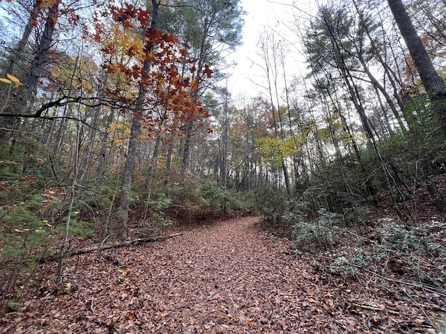 00 Whitecliff Dr, Ellijay, GA 30540