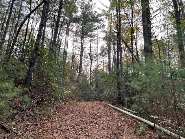 00 Whitecliff Dr, Ellijay, GA 30540