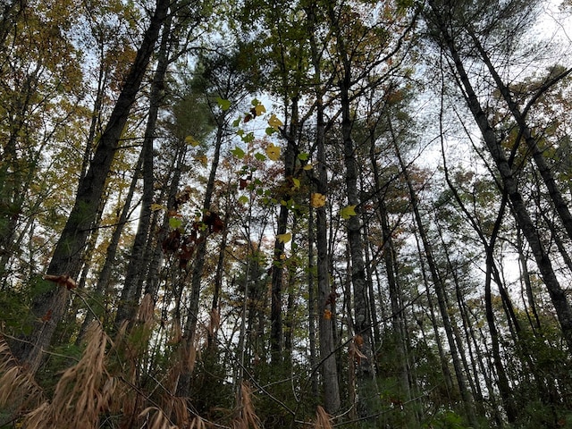 00 Whitecliff Dr, Ellijay, GA 30540