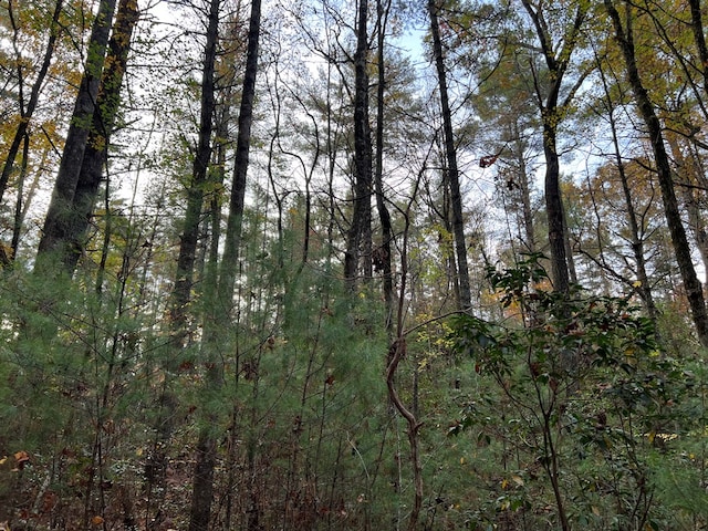 00 Whitecliff Dr, Ellijay, GA 30540
