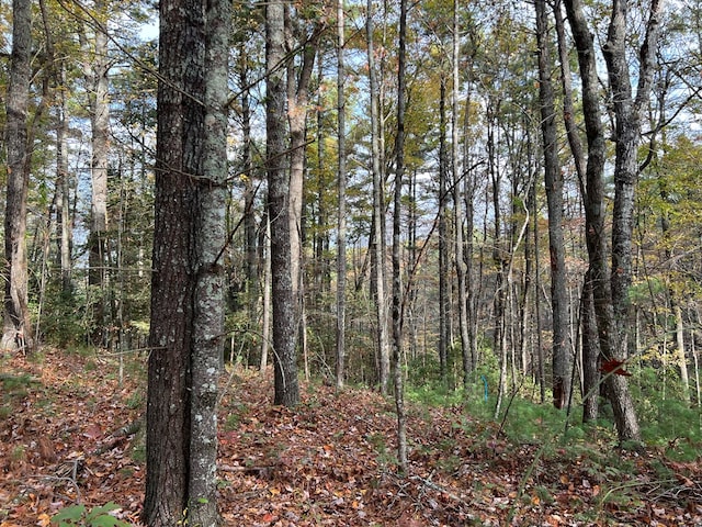 00 Whitecliff Dr, Ellijay, GA 30540