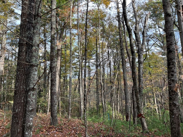 00 Whitecliff Dr, Ellijay, GA 30540