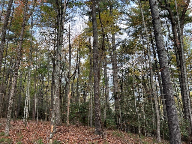 00 Whitecliff Dr, Ellijay, GA 30540