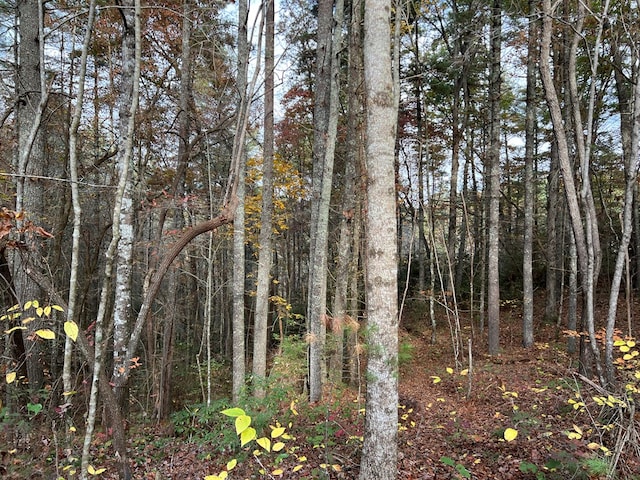 00 Whitecliff Dr, Ellijay, GA 30540