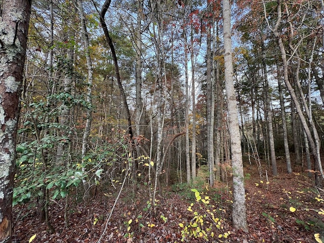 00 Whitecliff Dr, Ellijay, GA 30540