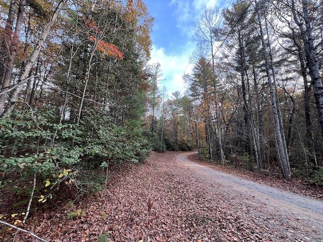 00 Whitecliff Dr, Ellijay, GA 30540
