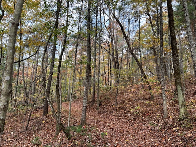 00 Whitecliff Dr, Ellijay, GA 30540