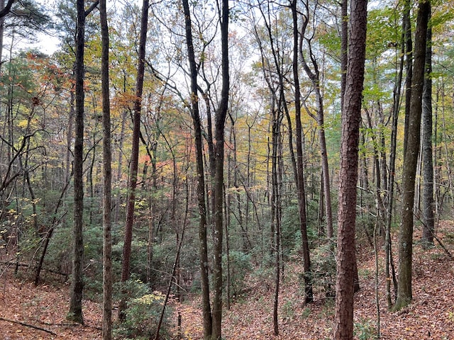 00 Whitecliff Dr, Ellijay, GA 30540