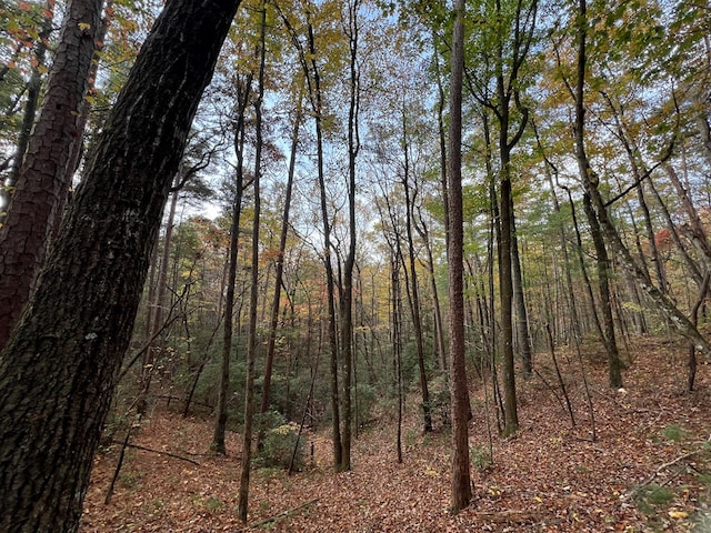 00 Whitecliff Dr, Ellijay, GA 30540
