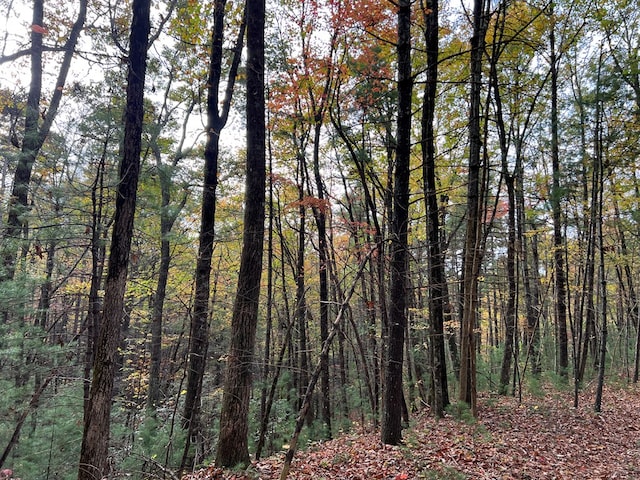 00 Whitecliff Dr, Ellijay, GA 30540