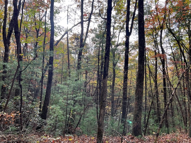 00 Whitecliff Dr, Ellijay, GA 30540