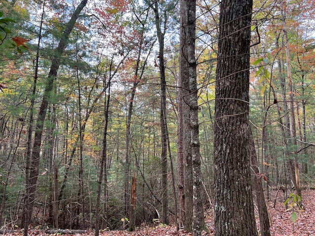 00 Whitecliff Dr, Ellijay, GA 30540