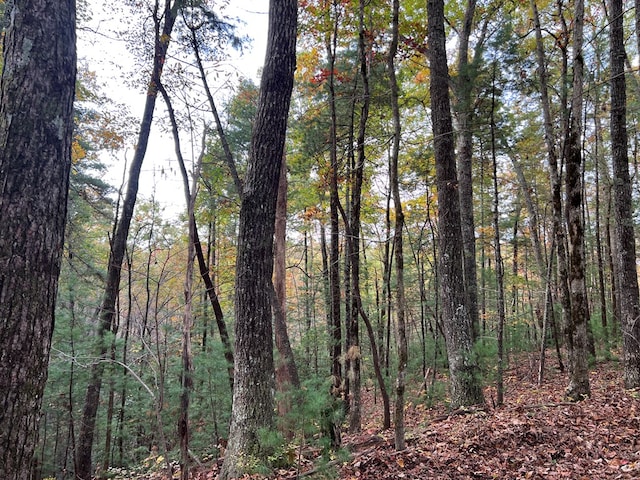 00 Whitecliff Dr, Ellijay, GA 30540
