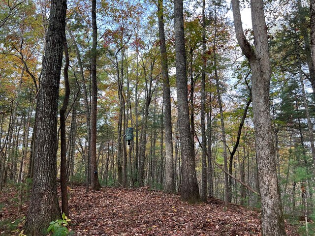 00 Whitecliff Dr, Ellijay, GA 30540