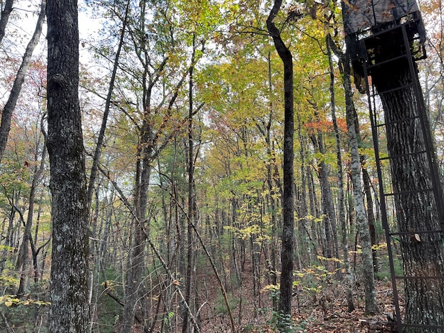 00 Whitecliff Dr, Ellijay, GA 30540