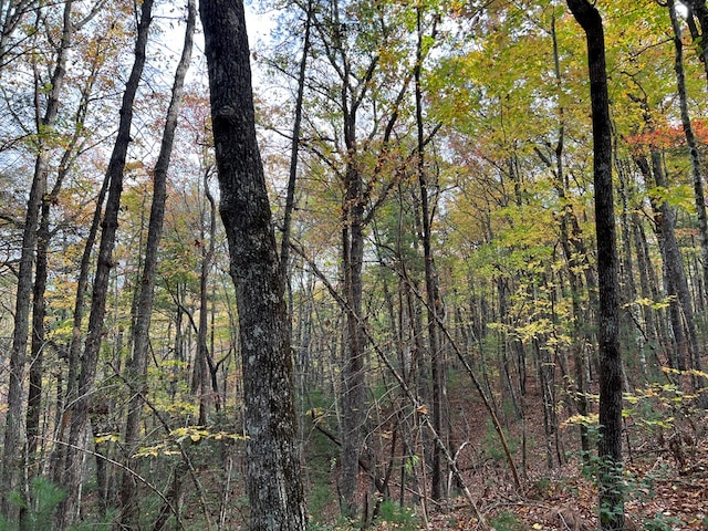 00 Whitecliff Dr, Ellijay, GA 30540