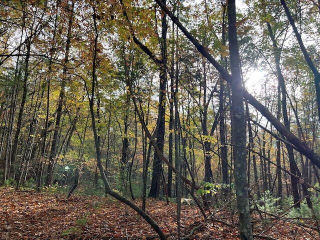 00 Whitecliff Dr, Ellijay, GA 30540