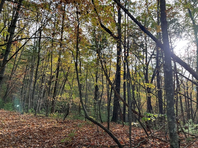 00 Whitecliff Dr, Ellijay, GA 30540
