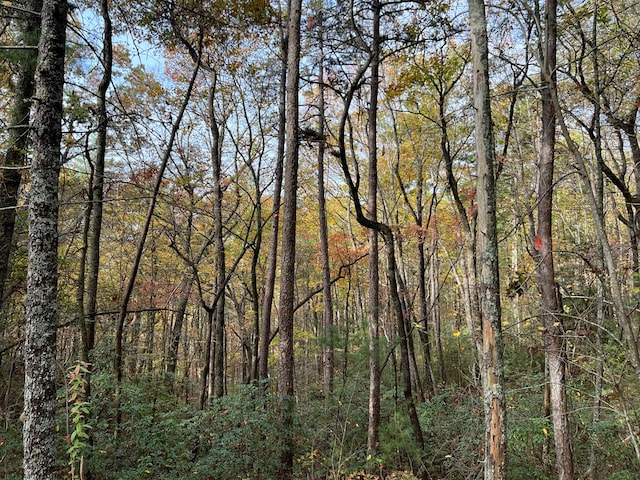 00 Whitecliff Dr, Ellijay, GA 30540