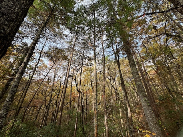 00 Whitecliff Dr, Ellijay, GA 30540