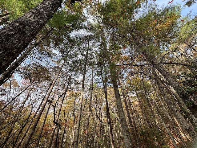 00 Whitecliff Dr, Ellijay, GA 30540