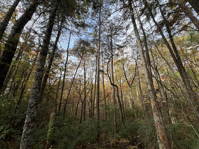 00 Whitecliff Dr, Ellijay, GA 30540