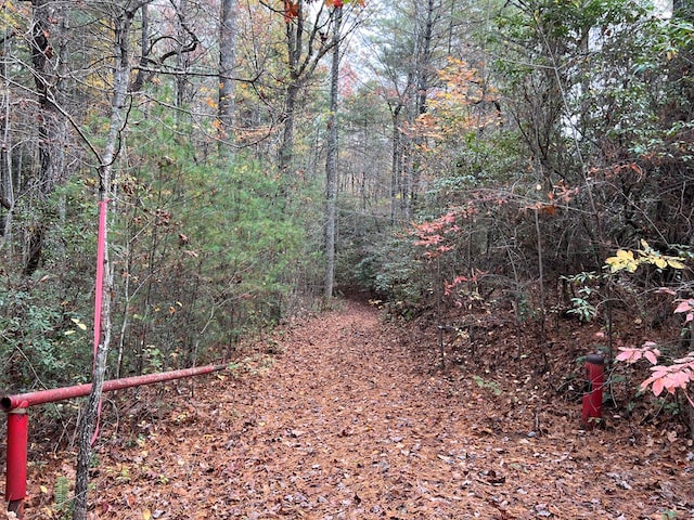 00 Whitecliff Dr, Ellijay, GA 30540