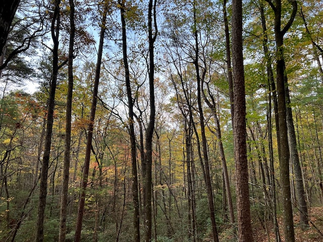 00 Whitecliff Dr, Ellijay, GA 30540