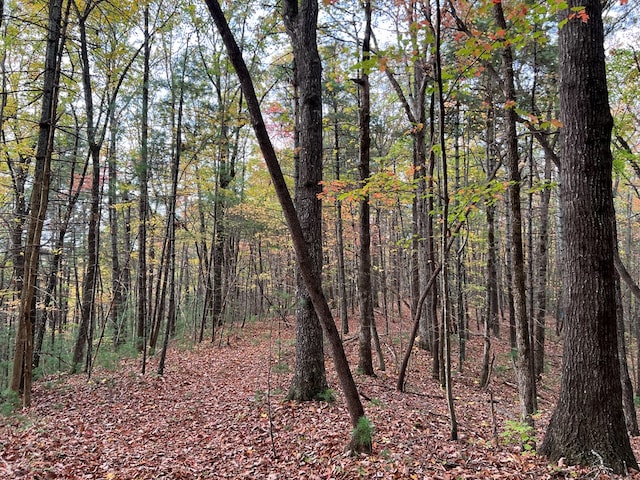 00 Whitecliff Dr, Ellijay, GA 30540