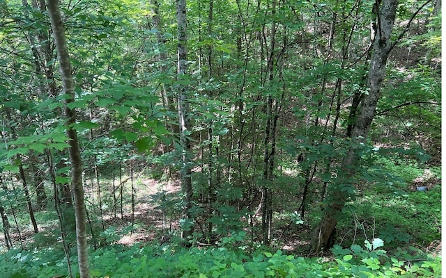 Listing photo 3 for 000 Cross Creek Rd, Andrews NC 28901