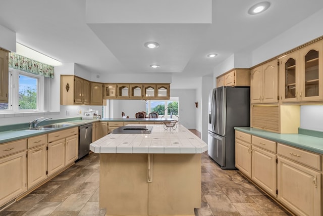 498 Old Dyer Rd, Hayesville, NC 28904 - kitchen featuring stainless steel appliances, a sink, stone finish floors, a kitchen island, and glass insert cabinets