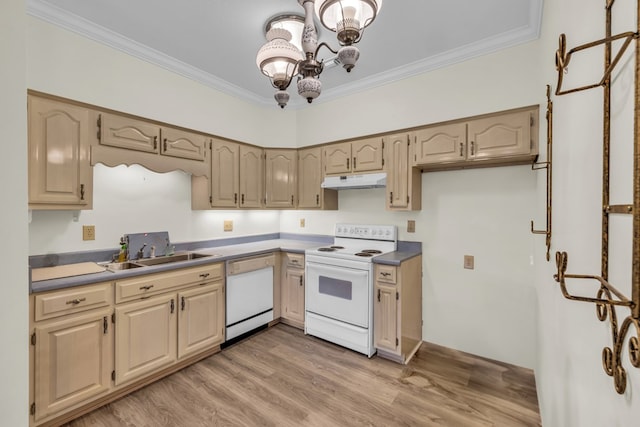 498 Old Dyer Rd, Hayesville, NC 28904 - kitchen featuring white appliances, a sink, a chandelier, ornamental molding, and light wood-style floors