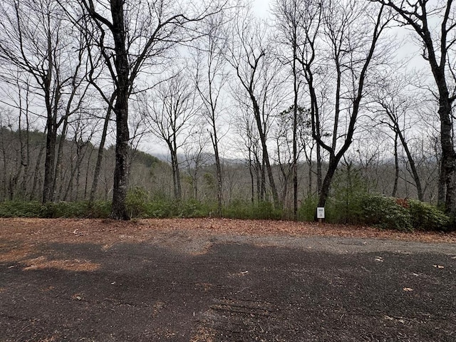 Address Not Disclosed, Hiawassee GA, 30546 land for sale