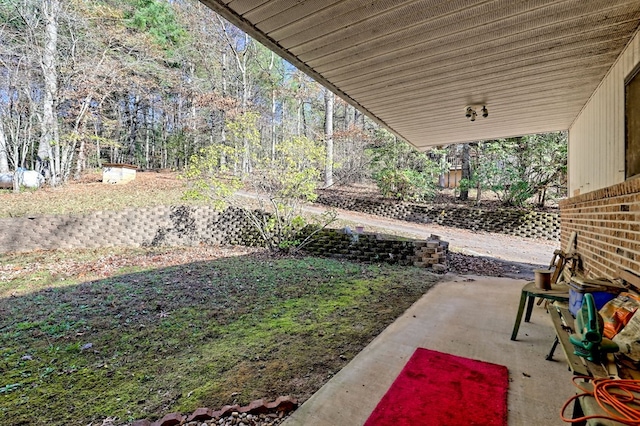 view of yard with a patio area