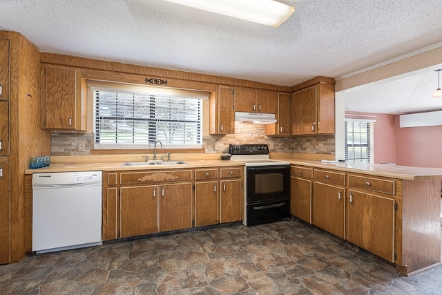 kitchen with a wealth of natural light, dishwasher, black electric range oven, and sink