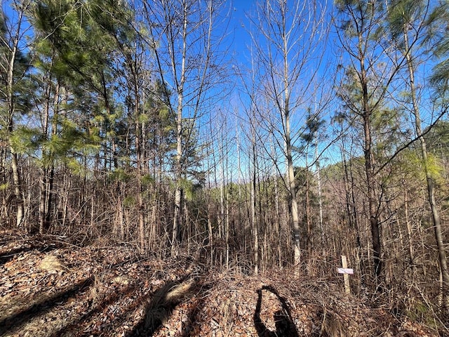 LOT83 Ridge Peak Vw, Blairsville GA, 30512 land for sale