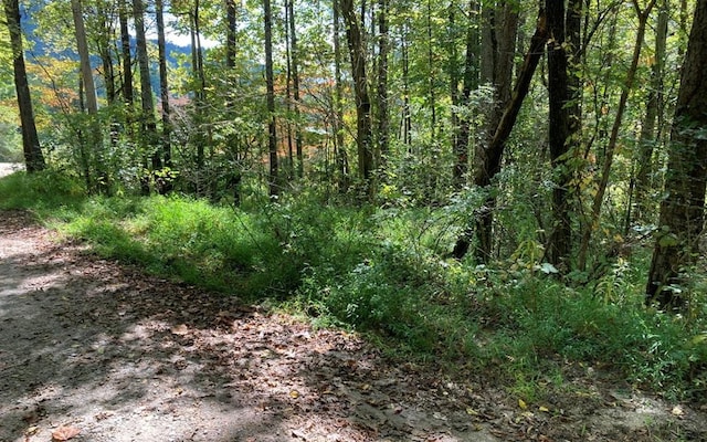 11 Mountain View Trl, Murphy NC, 28906 land for sale