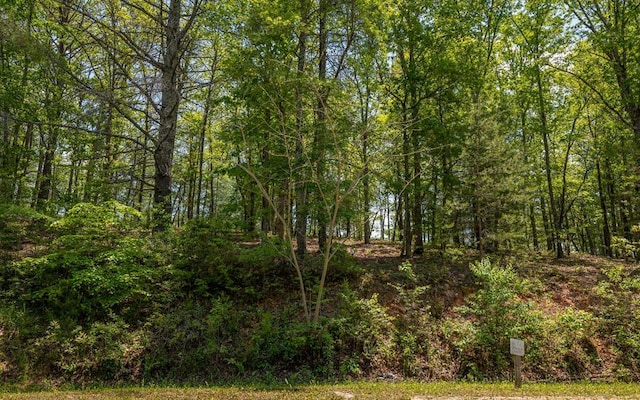 LOT59 Old Toccoa Loop, Mineral Bluff GA, 30559 land for sale