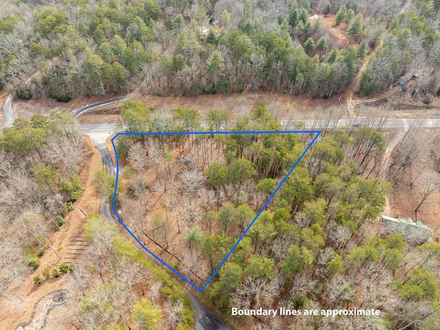 LOT11 Hawks Ridge Dr, Mineral Bluff GA, 30559 land for sale