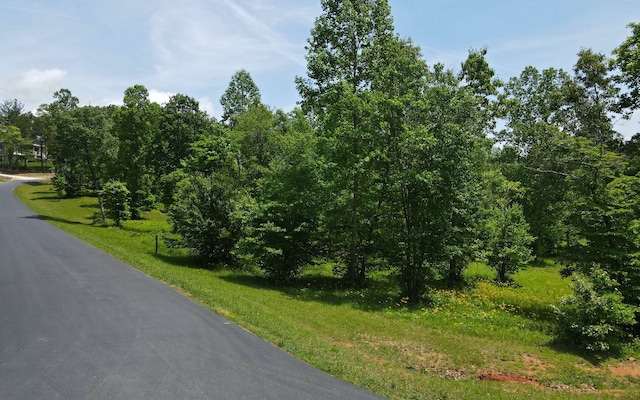 LT43 Broad Water Ct, Blairsville GA, 30512 land for sale