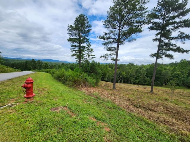 LOT231 Ridge Point Way, Blairsville GA, 30512 land for sale