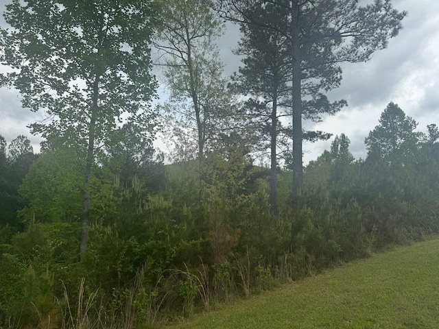 Listing photo 3 for LOT231 Ridge Point Way, Blairsville GA 30512