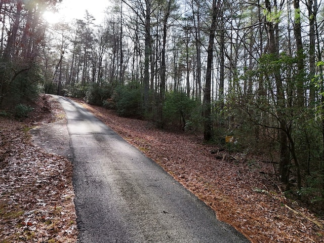 Listing photo 3 for LOT3 Papas Mountain Rd, Blairsville GA 30512