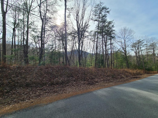 M20 Skyview Dr, Ellijay GA, 30536 land for sale