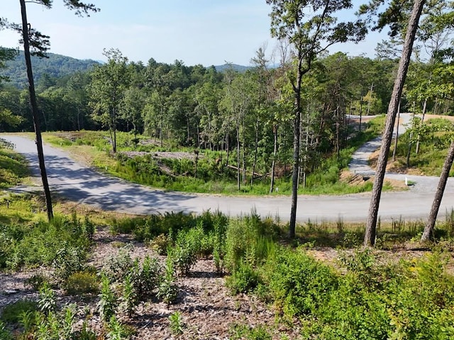 LOT3 Mountain Laurel Rdg, Mineral Bluff GA, 30559 land for sale